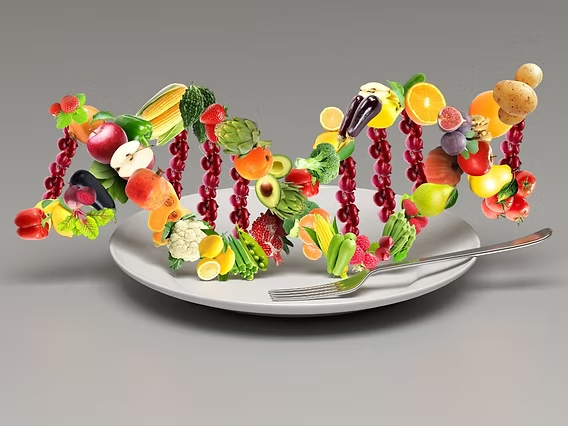 Claudia Stroia Bilan Bioresonance Nice La Nutrigenomique Ou Comment Manger Selon Notre Genome
